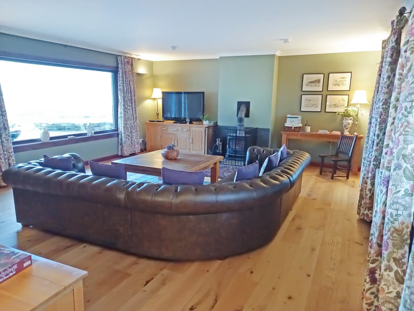 Living room stove
